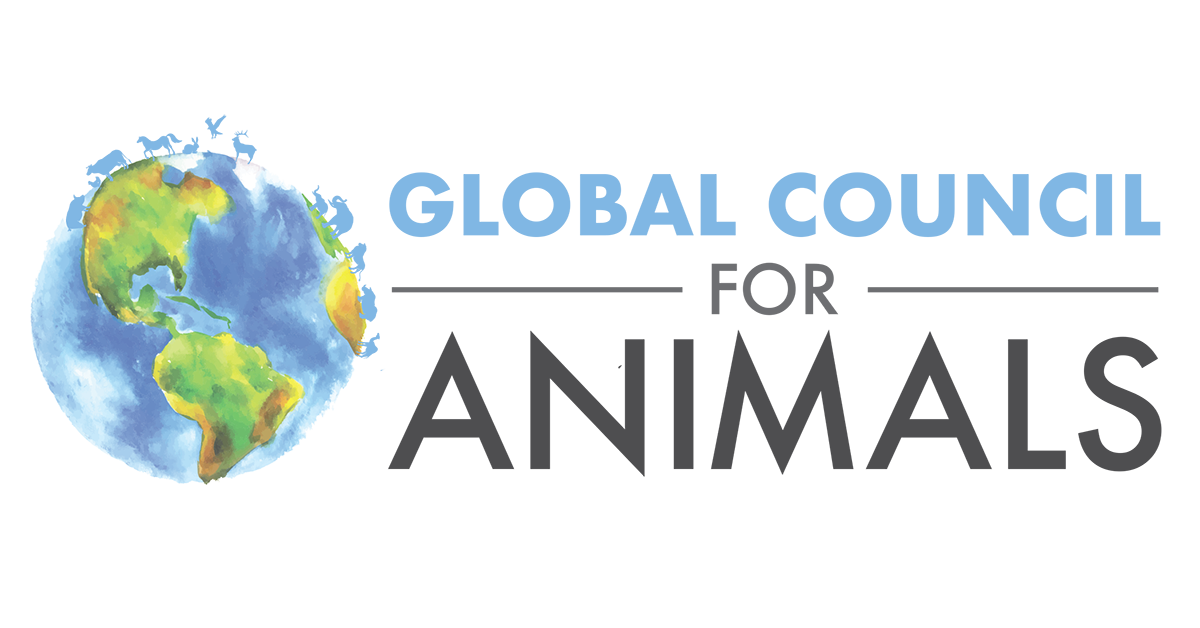 Global Council For Animals Animal Wellness Action Global Council For Animals Animal Wellness Action