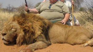 Tourism Without Trophy Hunting Campaign ​| Helping Animals Helps Us All