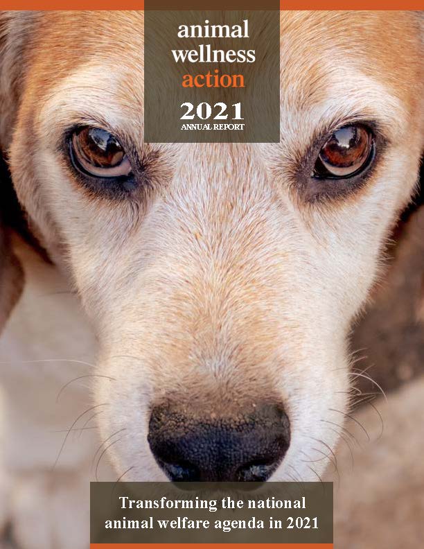 Annual Reports | Helping Animals Helps Us All