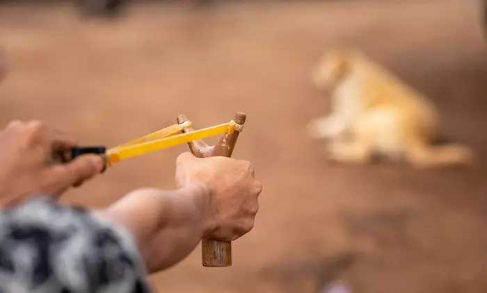 Man aiming rock in slingshot at dog