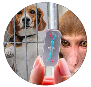 Modernize Testing​ Campaign | Helping Animals Helps Us All