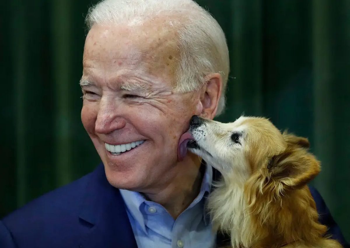 Biden Signs Five Animal Protection Measures into Law