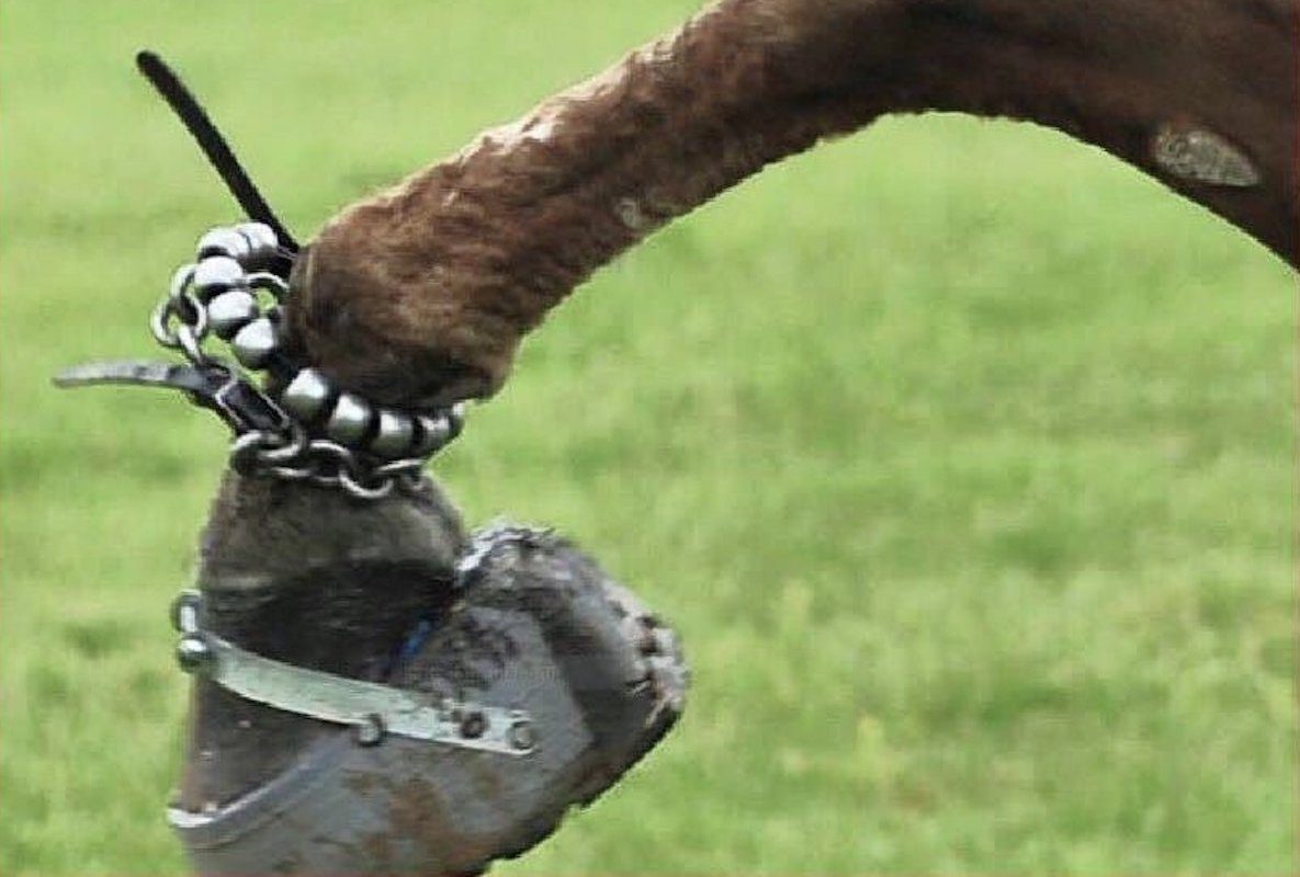 YearEnd Congressional Spending Bill Includes HighestEver Level of