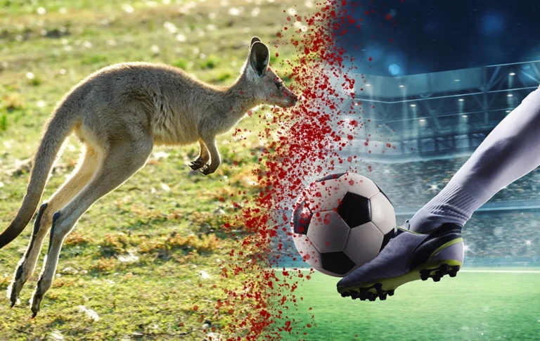 Live kangaroo with bloody soccer shoe kicking-Alive and Kicking