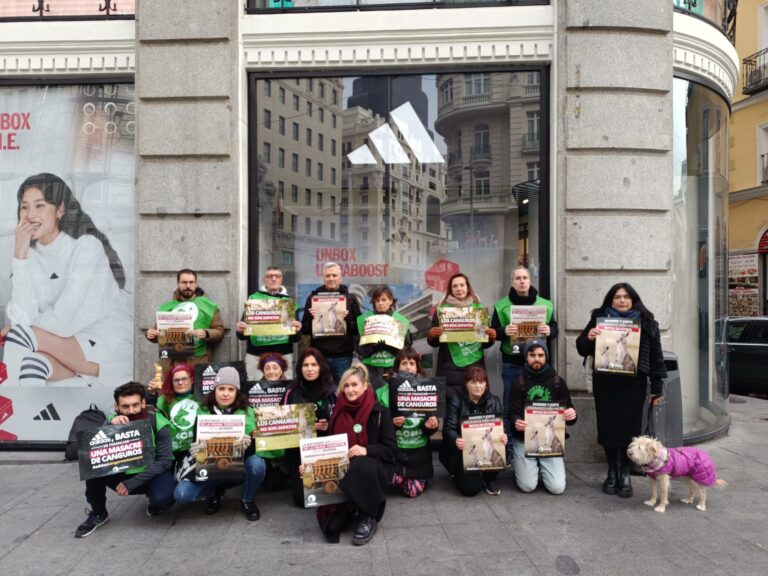 Adidas protest held in Madrid, Spain