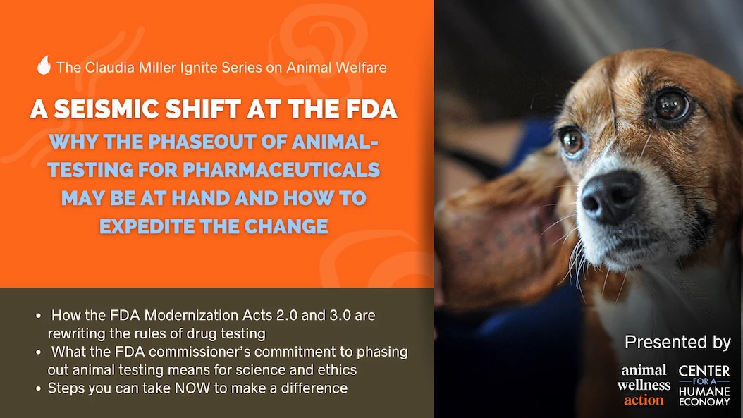A Seismic Shift at FDA: A Phaseout of Animal-Testing May be at Hand