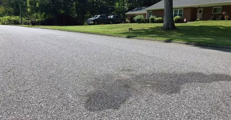 evidence of burnt fawn in baltimore county
