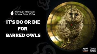 It's Do or Die for <br> Barred Owls | 10-24-25