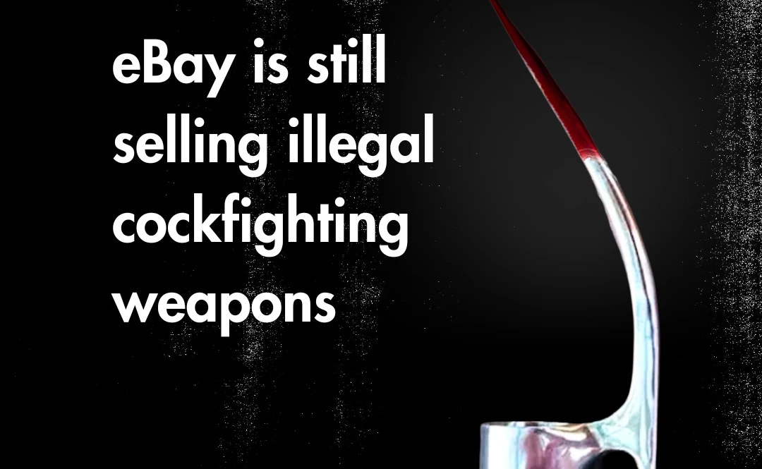 Etsy Exposed Graphic with Gaff