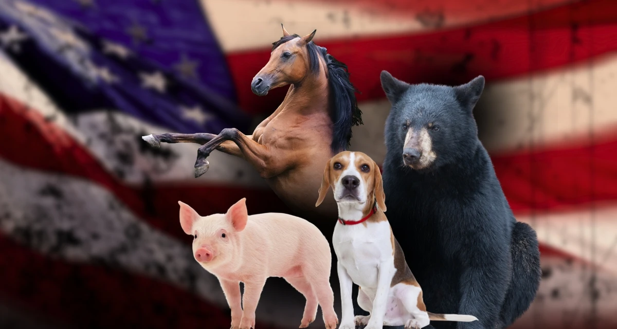 Animal Wellness Action intervenes in congressional races